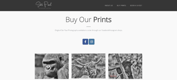 Buy Our Prints